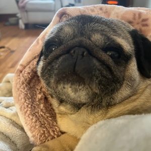 Meet your Posher, Sandra